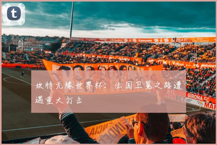 坎特无缘世界杯：法国卫冕之路遭遇重大打击