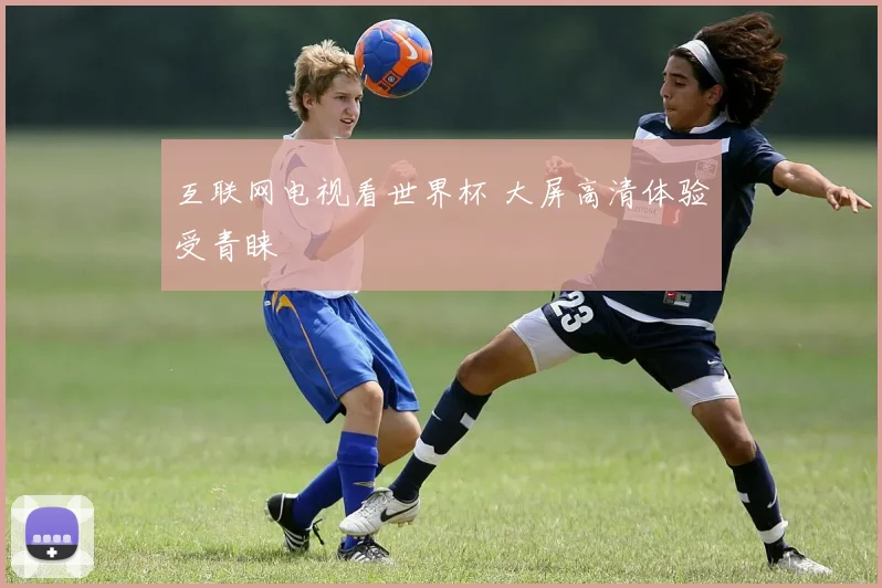 互联网电视看世界杯 大屏高清体验受青睐