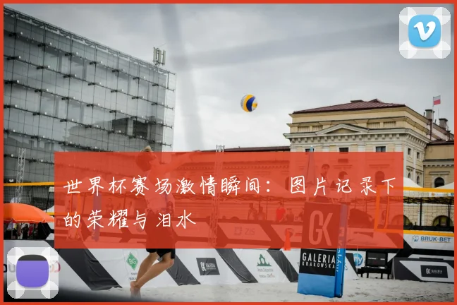世界杯赛场激情瞬间:图片记录下的荣耀与泪水