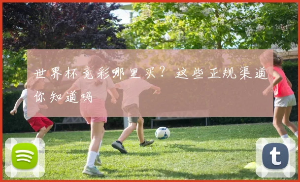 世界杯竞彩哪里买?这些正规渠道你知道吗