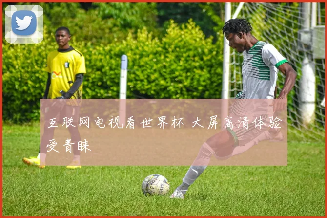 互联网电视看世界杯 大屏高清体验受青睐