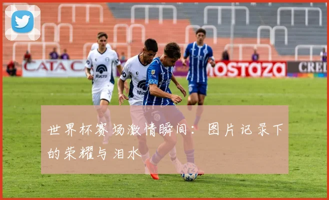 世界杯赛场激情瞬间:图片记录下的荣耀与泪水