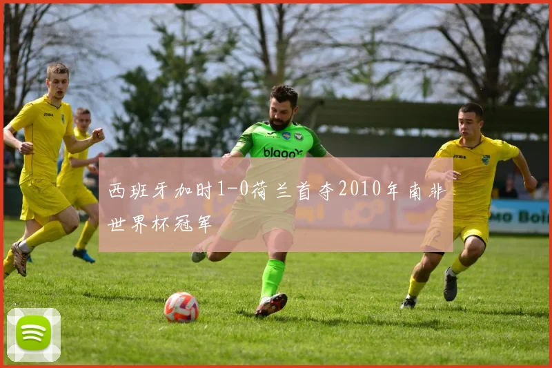 西班牙加时1-0荷兰首夺2010年南非世界杯冠军