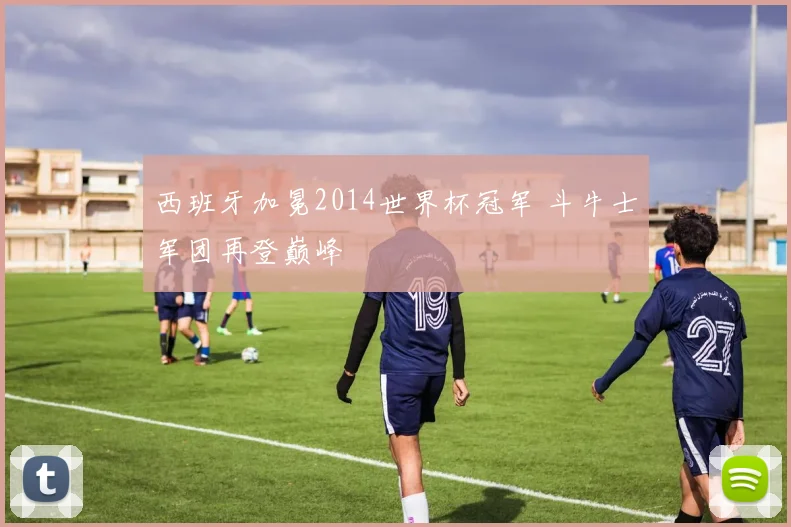 西班牙加冕2014世界杯冠军 斗牛士军团再登巅峰