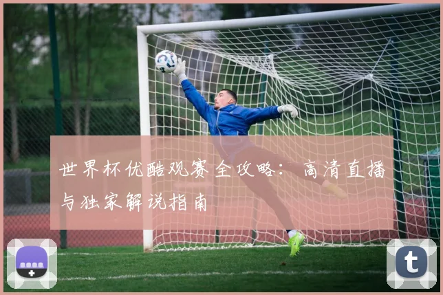 世界杯优酷观赛全攻略:高清直播与独家解说指南