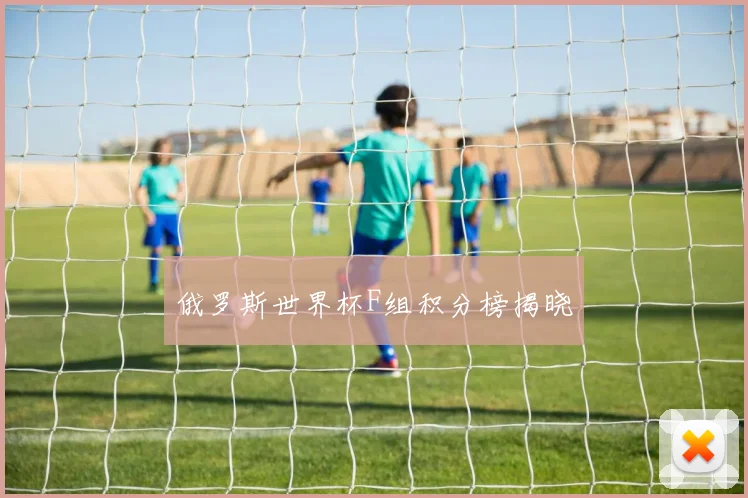 俄罗斯世界杯F组积分榜揭晓