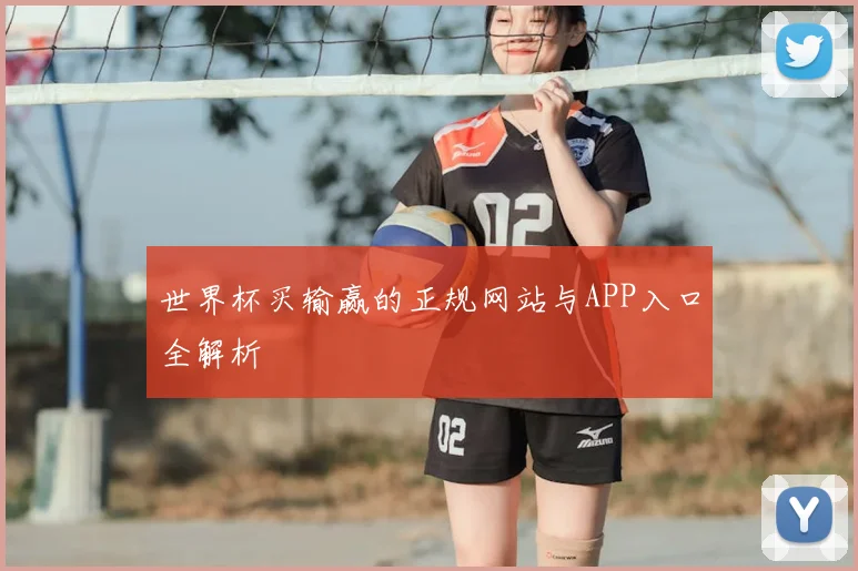 世界杯买输赢的正规网站与APP入口全解析