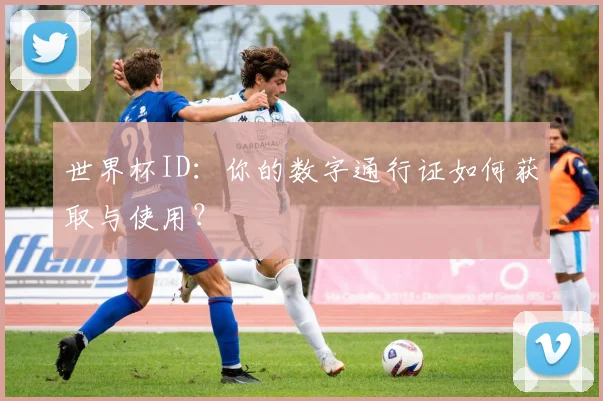 世界杯ID：你的数字通行证如何获取与使用？
