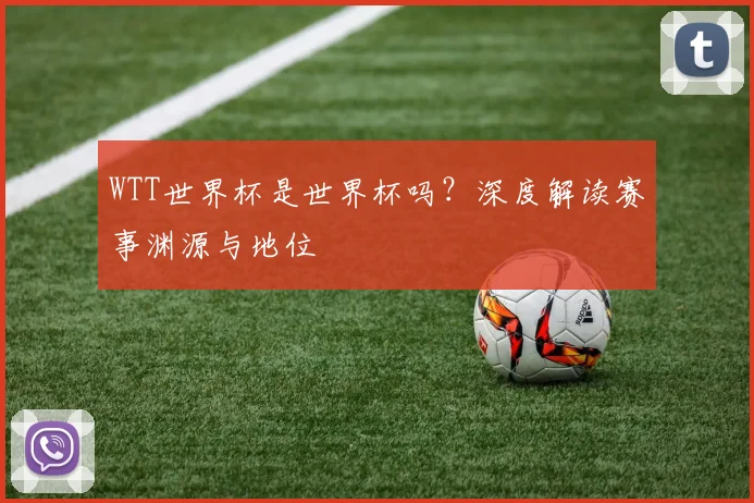WTT世界杯是世界杯吗？深度解读赛事渊源与地位
