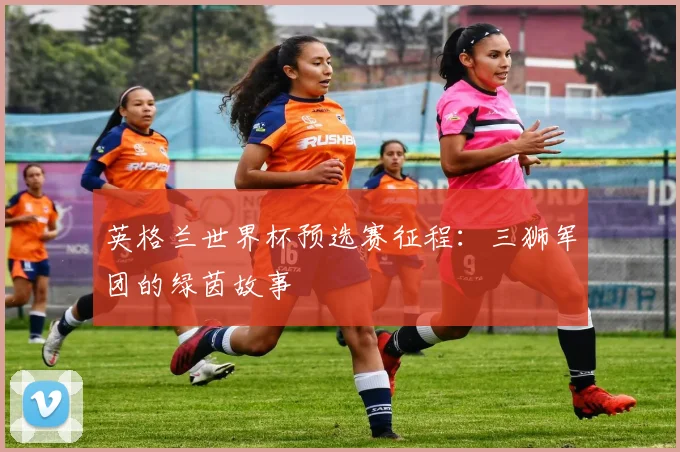 英格兰世界杯预选赛征程：三狮军团的绿茵故事