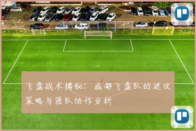 飞盘战术揭秘：成都飞盘队的进攻策略与团队协作分析