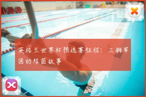 英格兰世界杯预选赛征程:三狮军团的绿茵故事