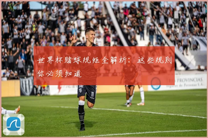 世界杯赌球规矩全解析:这些规则你必须知道