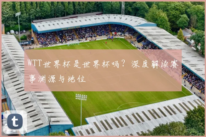 WTT世界杯是世界杯吗?深度解读赛事渊源与地位