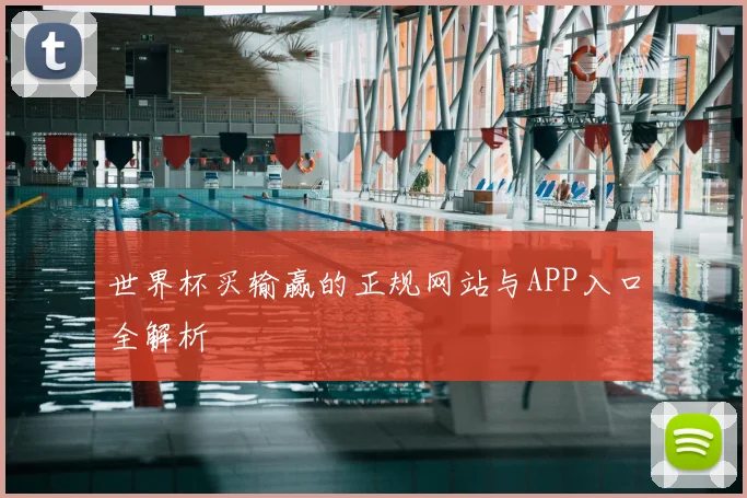 世界杯买输赢的正规网站与APP入口全解析