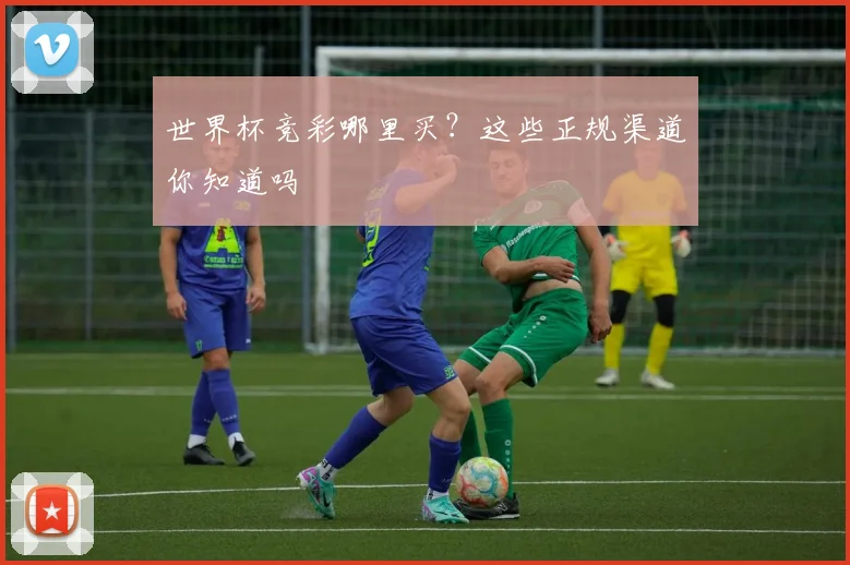 世界杯竞彩哪里买?这些正规渠道你知道吗