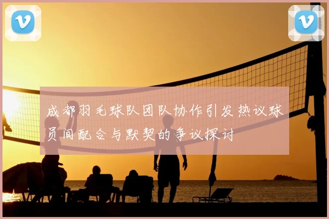 成都羽毛球队团队协作引发热议球员间配合与默契的争议探讨