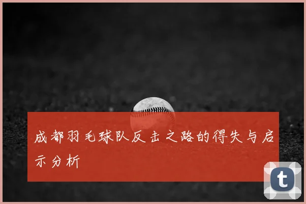 成都羽毛球队反击之路的得失与启示分析