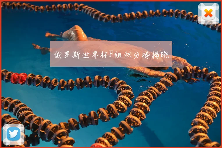 俄罗斯世界杯F组积分榜揭晓