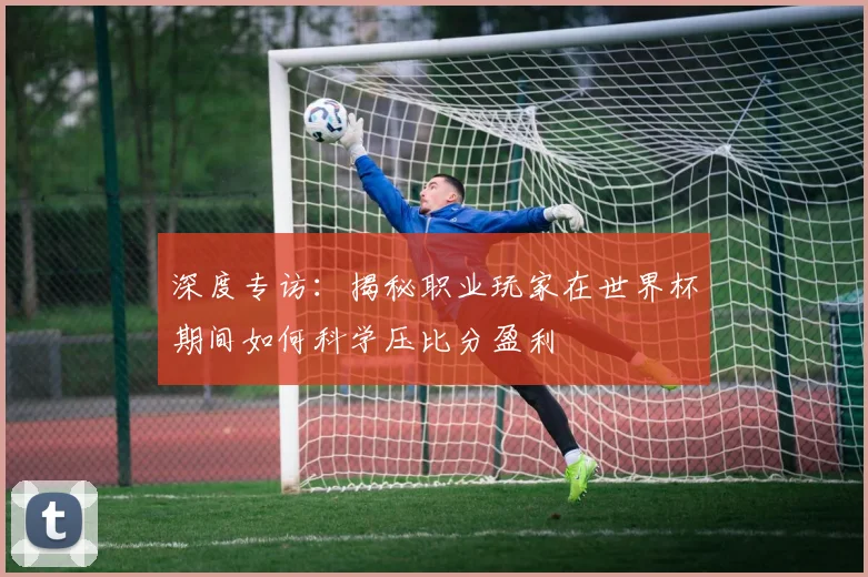 深度专访：揭秘职业玩家在世界杯期间如何科学压比分盈利